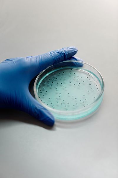 The Jalapeño Salmonella Outbreak Has Reached 32 States — Check These Foods in Your FridgeThe Jalapeño Salmonella Outbreak Has Reached 32 States — Check These Foods in Your Fridge