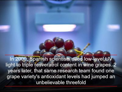 In 2000, Spanish scientists used low-level UV light to triple resveratrol content in wine grapes. 2 years later, that same research team found one grape variety's antioxidant levels had jumped an unbelievable threefold