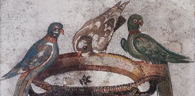 ‘Frequently fumigate the hen-houses’: how ancient Greeks and Romans tried to treat sick birds