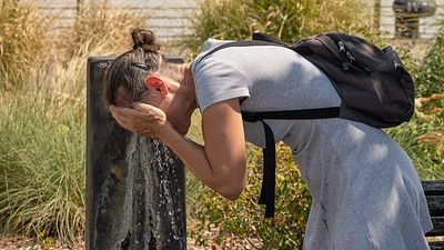 Beyond heatstroke: 33 conditions linked to extreme heat, from skin rashes to violence
