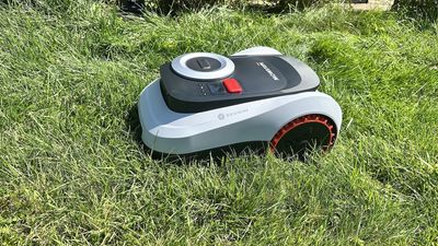 I let the Segway Navimow i215 roam free in my yard for two months — here's how well it cut my lawn