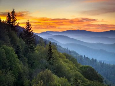 Great Smoky Mountains National Park: In 1929, farmer said no to an offer for his 375-acre farm. Years later he lost the case and the land