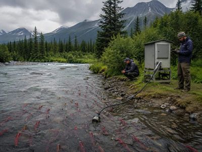 During Alaska stream research, teams developed an automated salmon-counting system to track fish in sonar video and reduce reliance on manual counting