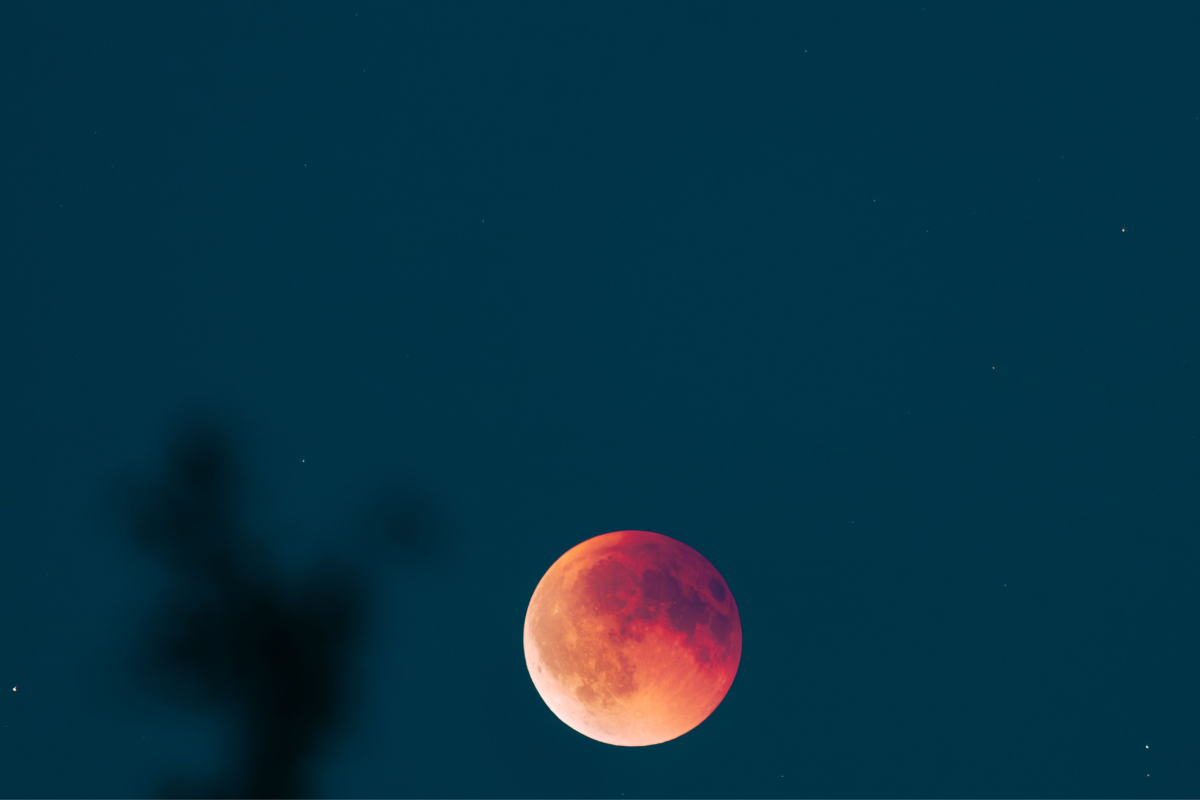 look-up-tonight-rare-blood-moon-will-turn-the-sky