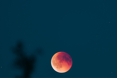 Look up Tonight: Rare 'Blood Moon' Will Turn the Sky Red as 96% of the Moon Disappears