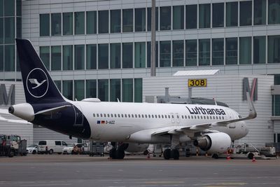 Two airport workers die of malaria in Frankfurt after mosquitos ‘arrive on plane’