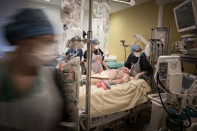 Specialists Push Hospital Sepsis Care Toward Infection Specifics and Away from One Size Fits All Timing Rules