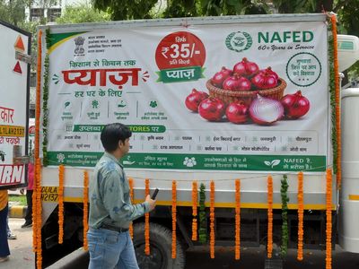 Centre starts onion sale in capital at Rs 35/kg, 44% below market price