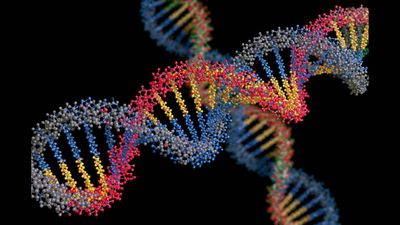 In 2000, University Of Illinois researchers searched 1,000 trillion DNA molecules for lead-sensitive DNA. 9 years later, their lab reported DNA sensors with sensitivity as low as 11 parts per trillion for toxic metals in drinking water