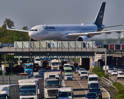 Officials urge calm after malaria outbreak kills two staff at Frankfurt airport