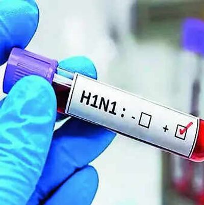 Delhi logs 166 fresh H1N1 cases, tally 2,612; health minister reviews hospital preparedness