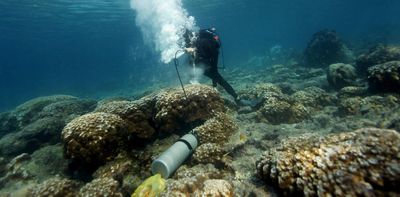 Galápagos corals show El Niño events are more extreme now than in past 1,000 years – here’s how my team made the discovery
