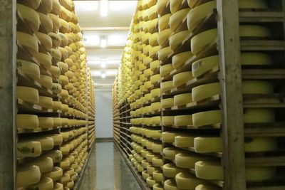 'No More Grass Left to Eat': France Relaxes Rules on Iconic 'Protected' Cheese Amid Drought