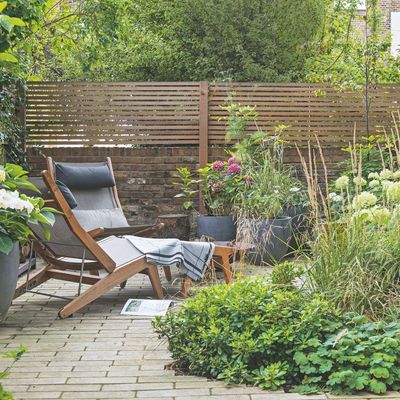 7 ways to revive a tired, heat-damaged garden – the tricks I'm using to get my scorched and frazzled yard back to looking its best