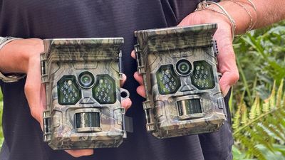 Wolfang WT02 trail camera review – at this price, this bargain camera trap sounded too good to be true, but it wasn't