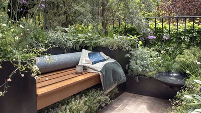5 Tools Every Small-Space Gardener Actually Needs – a Minimalist Toolkit That Ticks All the Boxes