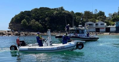 Crews spent nearly two hours searching for a struggling swimmer. It was probably a seal