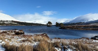 We've watched Scotland's natural world worsen in our lifetimes, voters tell poll