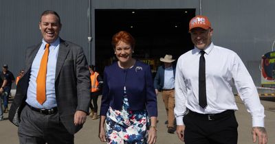 One Nation announces Japanese speaking investment banker as its Cessnock candidate