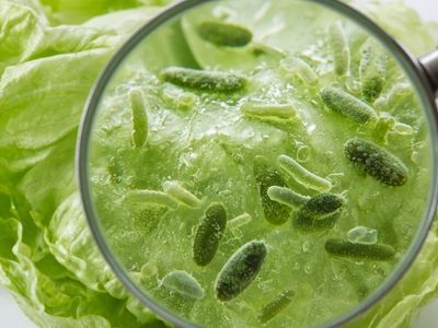 Cyclosporiasis: Think your salad is harmless? Parasite outbreak spreads across Michigan, Pennsylvania, Texas, Ohio, Massachusetts & 15 more states; FDA issues warning
