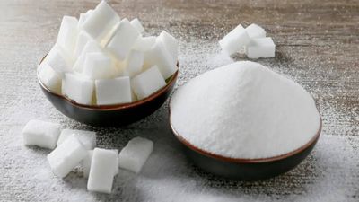 Sugar stocks rally continues: Balrampur Chini, Dhampur Sugar, Uttam Sugar Mills rally up to 4%. Two big triggers