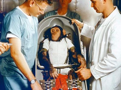 In 1961, NASA sent Ham the chimpanzee 157 miles above Earth to test whether a primate could work in space; he completed a 16-minute flight and returned safely