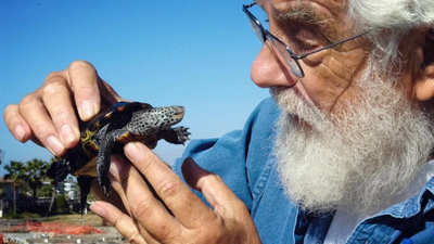 In 1978, Tony Amos began surveying a seven-mile Texas beach every other day; his ARK still rescues wildlife today