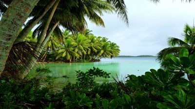 In 1922, a Hawaiian family bought a remote Pacific atoll to harvest coconuts; they later fought the US Navy, rejected casino plans and sold it for conservation