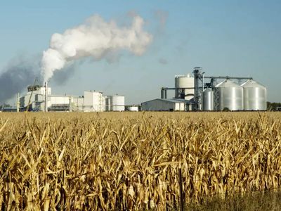 Government to allocate fortnightly sugar sale quota to mills from September to prevent artificial scarcity