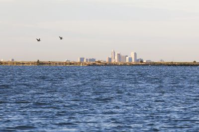Corpus Christi Withholds Water to Wetlands While Lifting Restrictions on Lawns