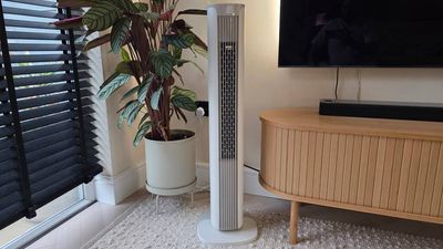 Meaco Sefte Smart 36" Tower Fan review: Powerful, quiet and smart, but let down by its looks