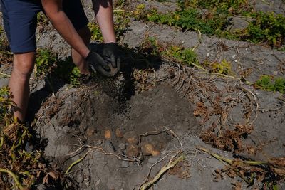 United Nations talks in Mongolia expose growing drought crisis as climate impacts worsen