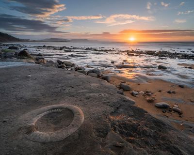 Protect fossils from hammer-wielding tourists