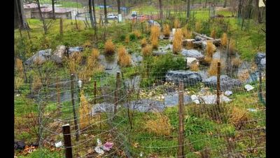 In 2022, Washington DC installed 2 bioretention systems across 2.6 acres to manage runoff. 1 year later, they could retain 2,627 cubic feet of stormwater per storm