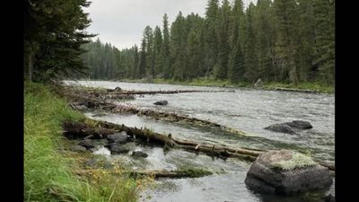 In 2002, Idaho listed the South Fork Palouse River as bacteria-impaired after livestock grazing. 14 years later, restoration helped remove it from the 2016 impaired list
