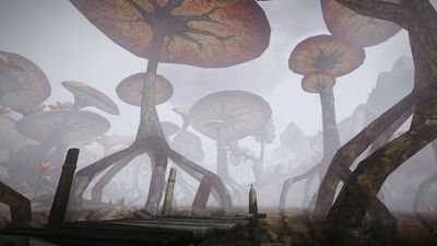 Morrowind's most ambitious mod is now available in 1 click on GOG, alongside a 60% sale on the 24-year-old Elder Scrolls RPG