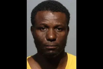 Florida HVAC worker arrested after he is caught on film kicking a customer’s dog