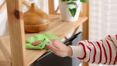 I stopped dry dusting: here is the simple wiping technique that actually traps dust