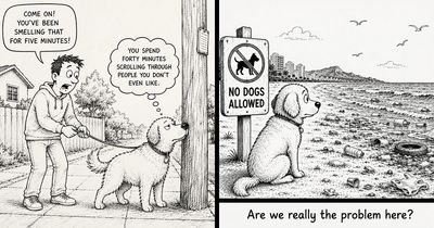 I Created 22 New Comics That Capture The Joy, Confusion, And Drama Of Being A Dog