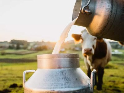 Wholesale milk prices in Mumbai to rise ₹9 per litre to cross ₹100 from Sept 1