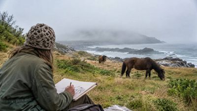 In 1971, a Canadian art student visited a fogbound island to draw wild horses; she stayed nearly 50 years studying its wildlife, and Sable became a national park reserve