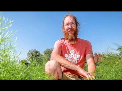 Belgian farmer hasn’t irrigated his crops in 26 years: How Diederik Steyaert’s soil holds water even during dry weather