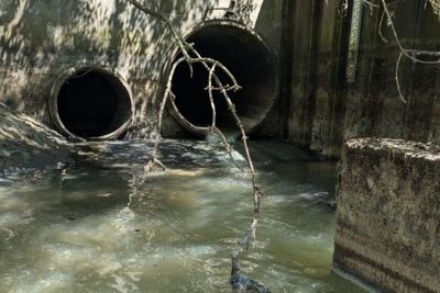 600 million litres of sewage entering river flowing through London each year, shock study finds
