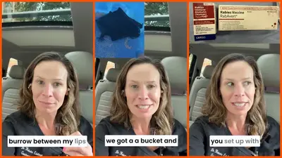 Virginia doctor dreams a mouse is trying to get into her mouth and reaches up in her sleep. Then she feels something: ‘Burrow between my lips’