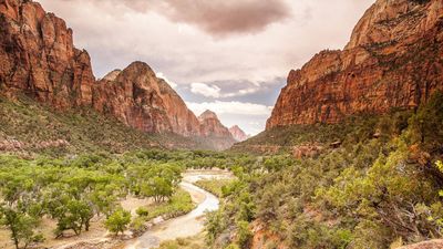 A private landowner has given up development rights on 145 acres beside Zion National Park; the land can no longer become hotels, condos or restaurants and will remain protected