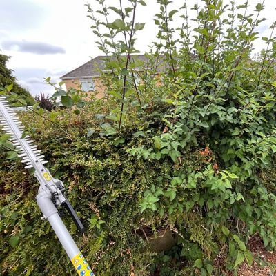 I've just discovered a multi-tool for the garden that can do it all (apart from mow) – and it's what I'm using to replace all the other tools in my shed