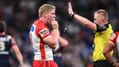 Dolphins' relief as stars dodge bans before finals