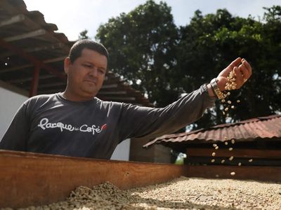 Vietnam’s coffee farmers are betting on durian to strike it rich in China
