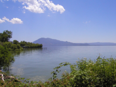 Scientists cored Clear Lake, finding ancient pollen records in sediment that reveal how California forests changed with past climate shifts