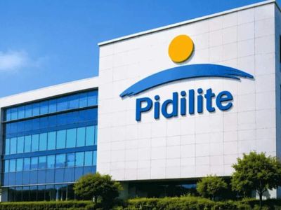 Fevicol maker Pidilite says demand holding steady in Q2; rules out immediate price hikes: MD